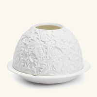 برناردو مصباح ليثوفاني ليز أوركيد