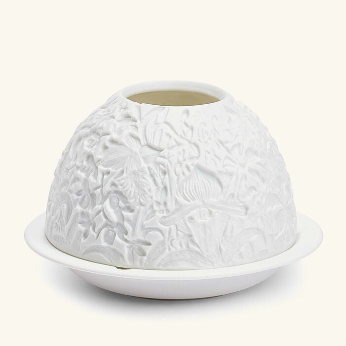 bernardaud les orchides lithophanie