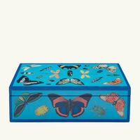 Botanist Box Blue jonathan adler botanist box blue
