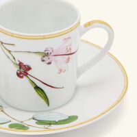 bernardaud jardin indien coffee cup   saucer green