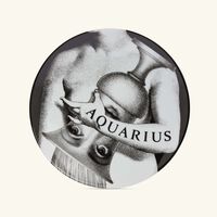Tema e Variazioni no.358 Aquarius Wall Plate fornasetti tema e variazioni no 358 aquarius wall plate