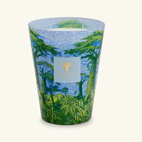 Sacred Trees Yarani Candle Max 24 baobab collection sacred trees yarani candle max 24