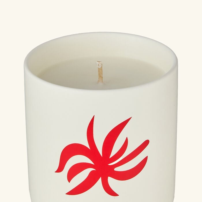 Ibiza Bohemia Candle assouline ibiza bohemia candle