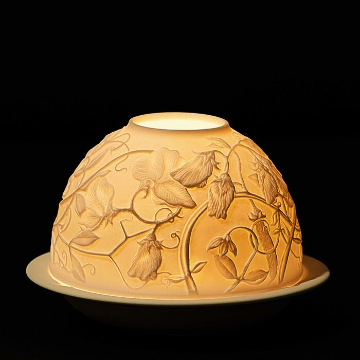 برناردو مصباح ليثوفاني سويت بيز