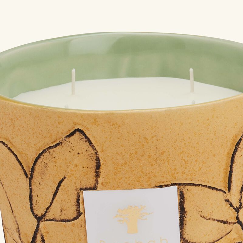 Folia Garrigue Candle Max 16 baobab collection folia garrigue candle max 16
