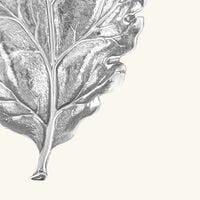 buccellati oak leaf bowl small