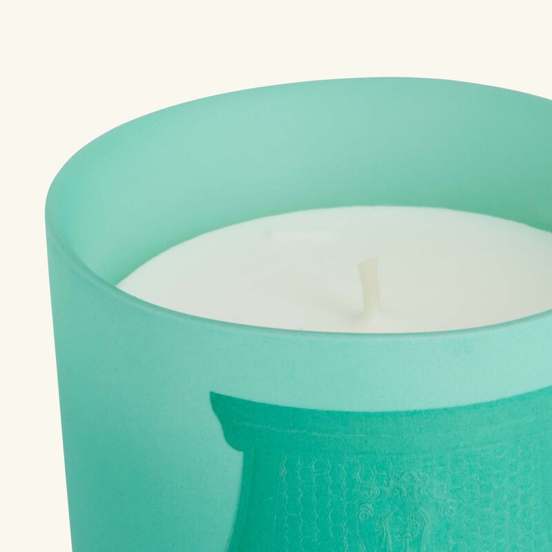 Under The Trees Candle 270g trudon under the trees candle 270g