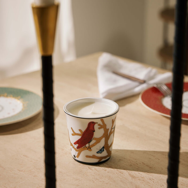 Aux Oiseaux Tumbler with Candle bernardaud aux oiseaux tumbler with candle