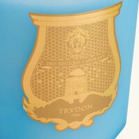 Versailles Candle 2.8kg trudon versailles candle 2 8kg