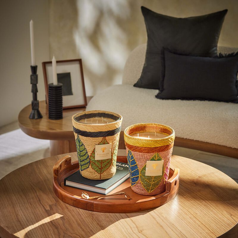 baobab collection ravintsara hanitra candle max 24