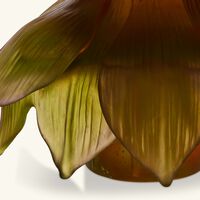 daum jardin de lotus vase medium