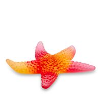 Amber Red Starfish Mer De Corail, small