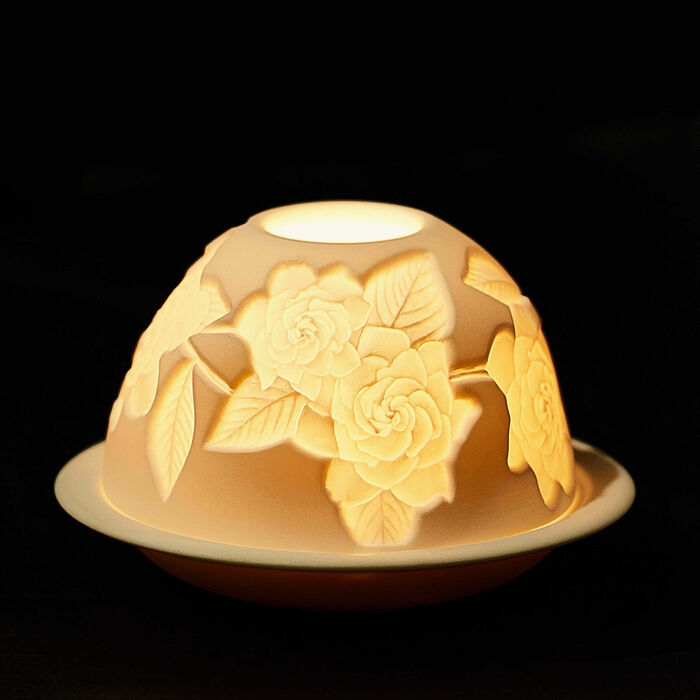 برناردو مصباح ليثوفاني جاردينيا فلاور