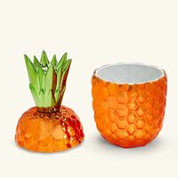 bernardaud victoria pineapple box orange