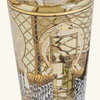 Royal Reflection Diffuser baobab collection royal reflection diffuser