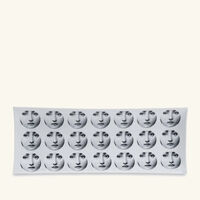 fornasetti tema e variazioni no 197 tray rectangular small grey