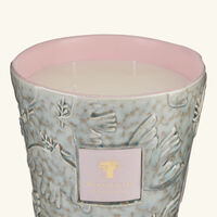 baobab collection colombe candles max 16