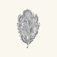 buccellati oak leaf bowl small