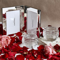 Special Moments special moments