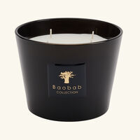 baobab collection encre de chine candle max 10