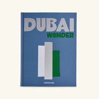 Dubai Wonder Book 33x25cm assouline dubai wonder book 33x25cm