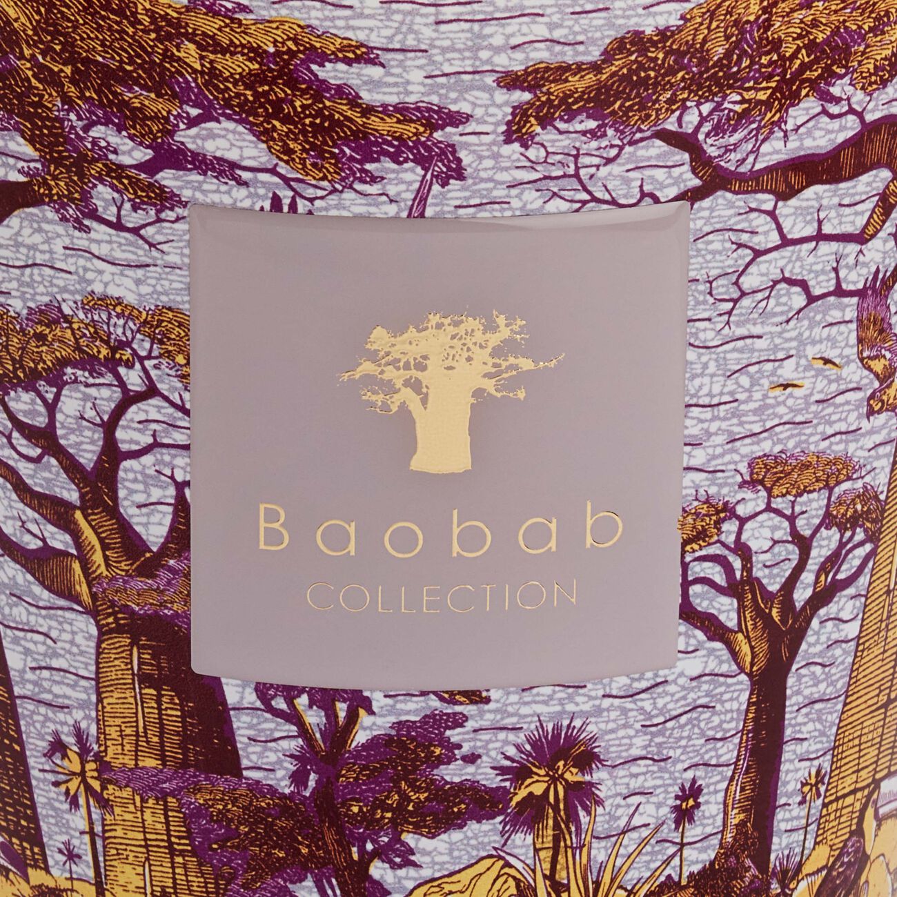 baobab collection sacred trees massasso candle max 24
