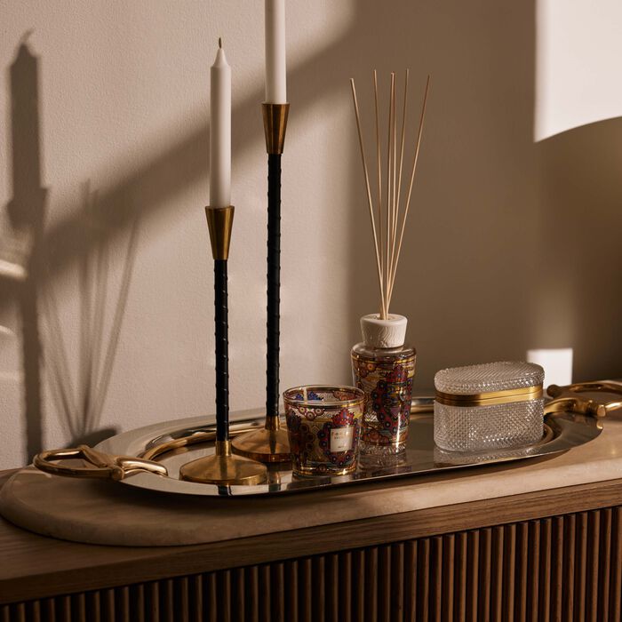 My First Baobab Mexico Gift Set baobab collection my first baobab mexico gift set