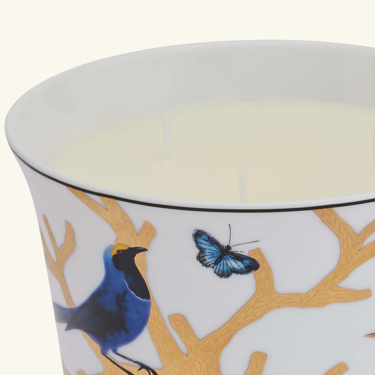 Aux Oiseaux Candle bernardaud aux oiseaux candle