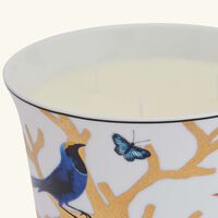 Aux Oiseaux Candle bernardaud aux oiseaux candle