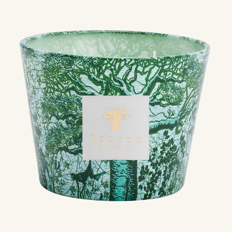baobab collection sacred trees kamalo candle max 10