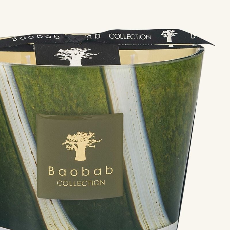 Woods Sherwood Candle Max 10 baobab collection woods sherwood candle max 10
