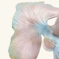 Betta Fish Sculpture Left Medium Pink lladro betta fish sculpture left medium pink