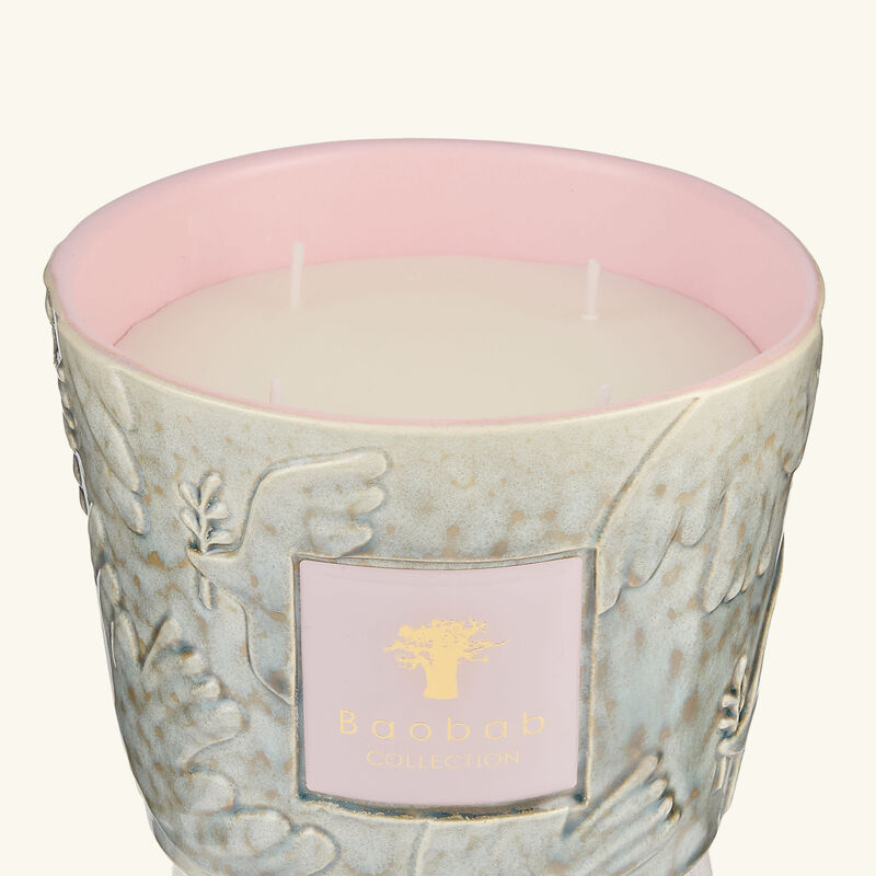 baobab collection colombe candles max 10