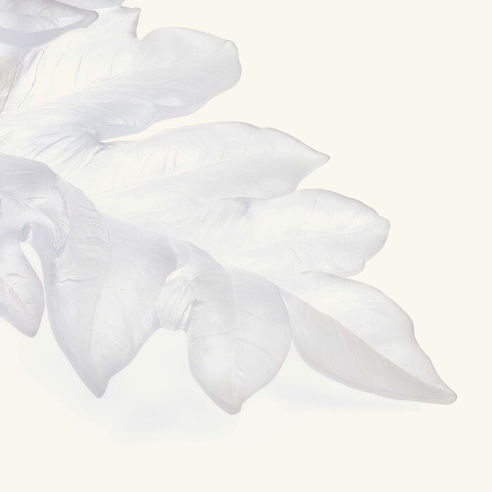 daum born o wall leaf figurine large white