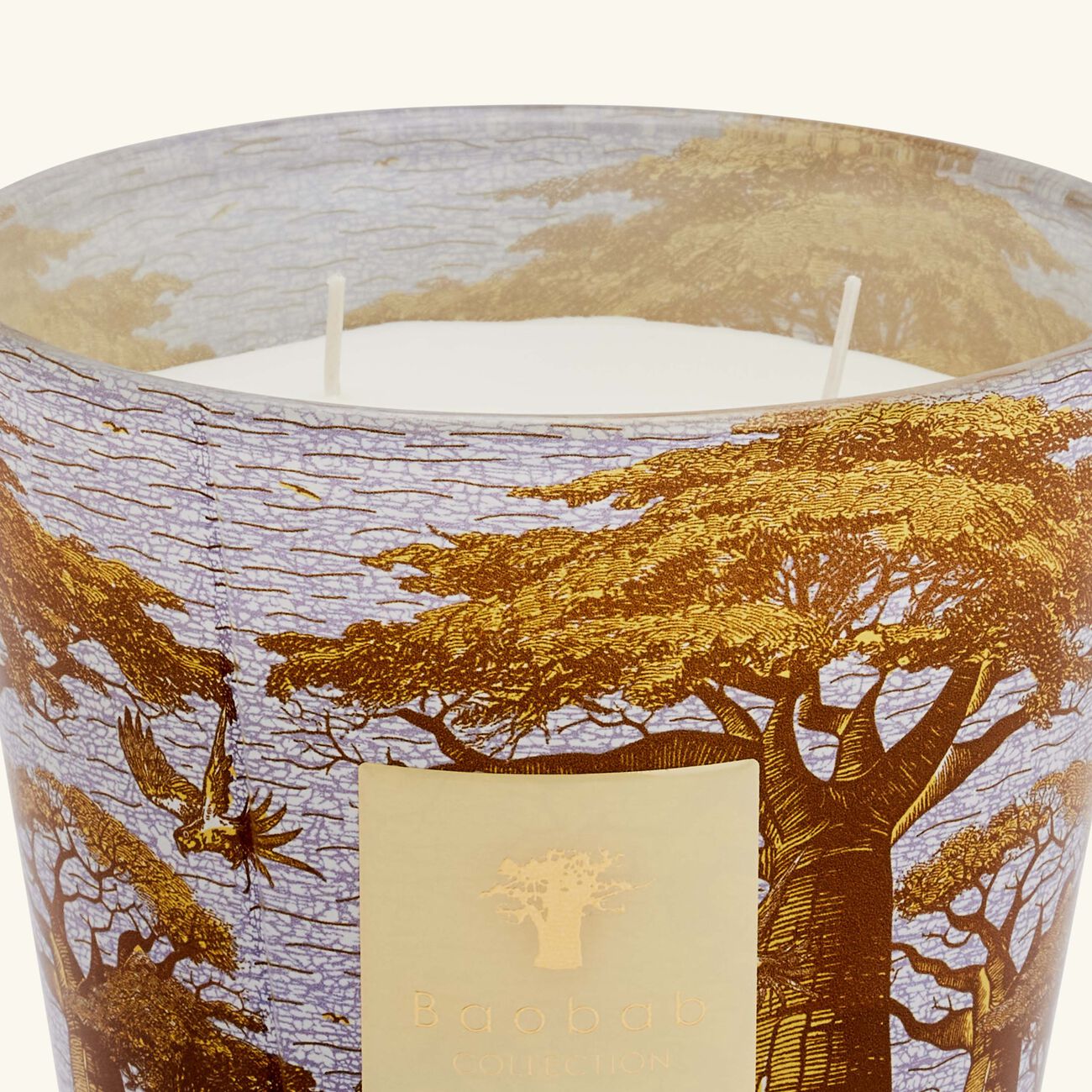 Sacred Trees Cocody Candle Max 16 baobab collection sacred trees cocody candle max 16