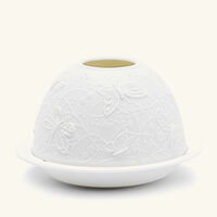 برناردو مصباح ليثوفاني باترفلايز إن فلايت