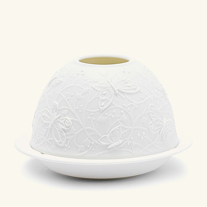 برناردو مصباح ليثوفاني باترفلايز إن فلايت