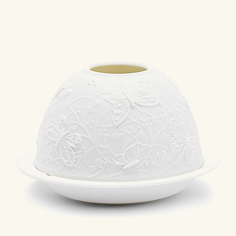 برناردو مصباح ليثوفاني باترفلايز إن فلايت