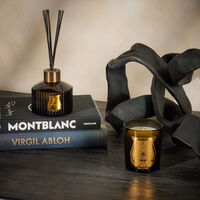 trudon gabriel diffuser 350 ml