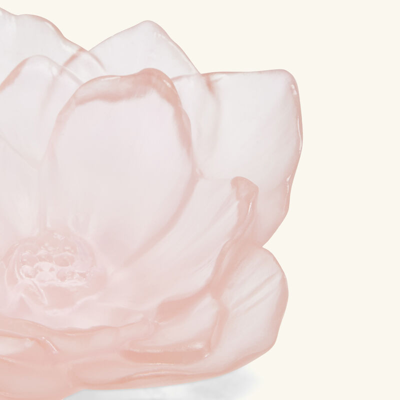 daum camellia centerpiece small pink