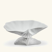 Neptune Centerpiece Large White l objet neptune centerpiece large white