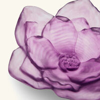 Camellia Centerpiece Small Purple daum camellia centerpiece small purple