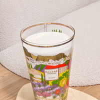 baobab collection provence candles max 35