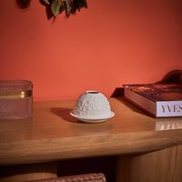 برناردو مصباح ليثوفاني ديزيز