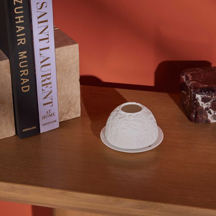 bernardaud les orchides lithophanie