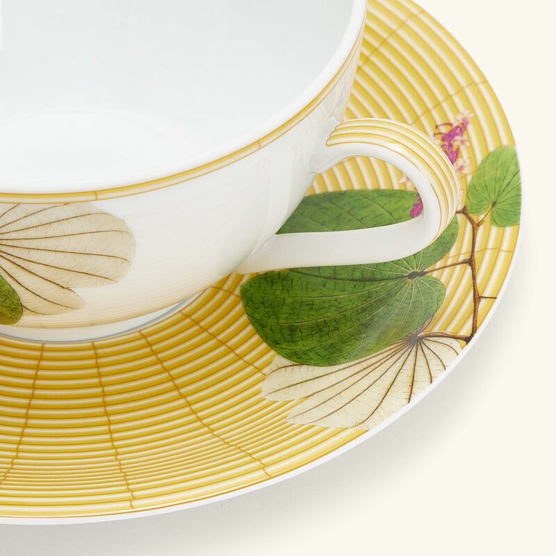 Jardin Indien Tea Cup & Saucer Green Set Of 2 bernardaud jardin indien tea cup saucer green set of 2