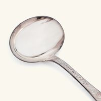 christofle jardin d eden gravy ladle silver plated
