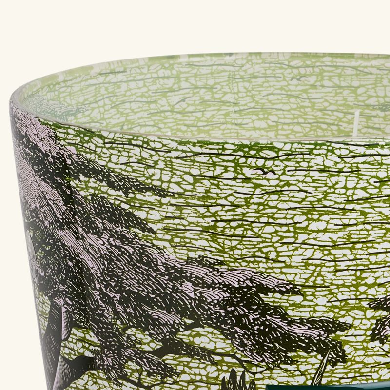 شمعة سيكرد تريز توبا المعطرة ماكس 35 باوباب شمعة سيكرد تريز توبا المعطرة ماكس 35