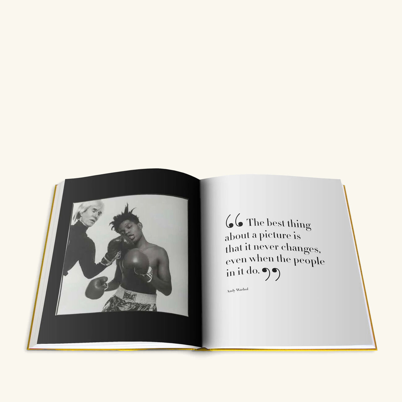 آسولين كتاب آندي وارهول  المجموعة الأيقونية 47 39 سم