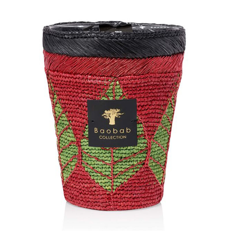 baobab collection hazo noely